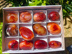 Polished Carnelian Agate Gemstone Galets x 12 From Madagascar