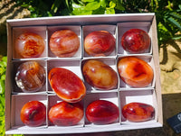 Polished Carnelian Agate Gemstone Galets x 12 From Madagascar