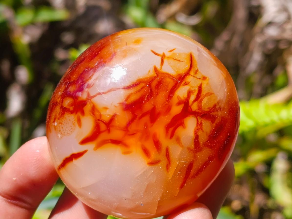 Polished Carnelian Agate Gemstone Galets x 12 From Madagascar