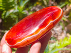 Polished Carnelian Agate Gemstone Galets x 12 From Madagascar