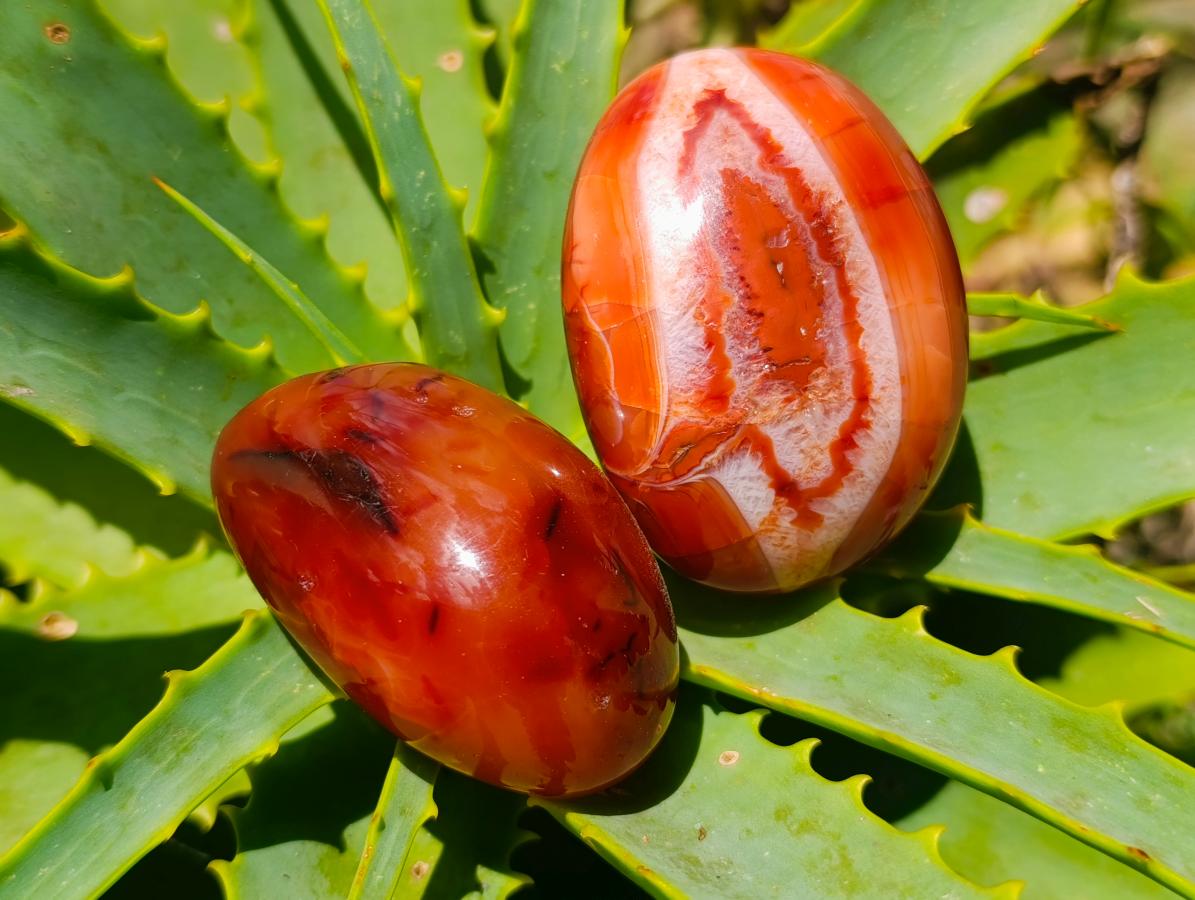 Polished Carnelian Agate Gemstone Galets x 12 From Madagascar