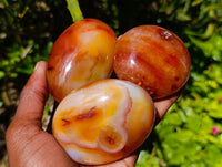Polished Carnelian Agate Gemstone Galets x 12 From Madagascar