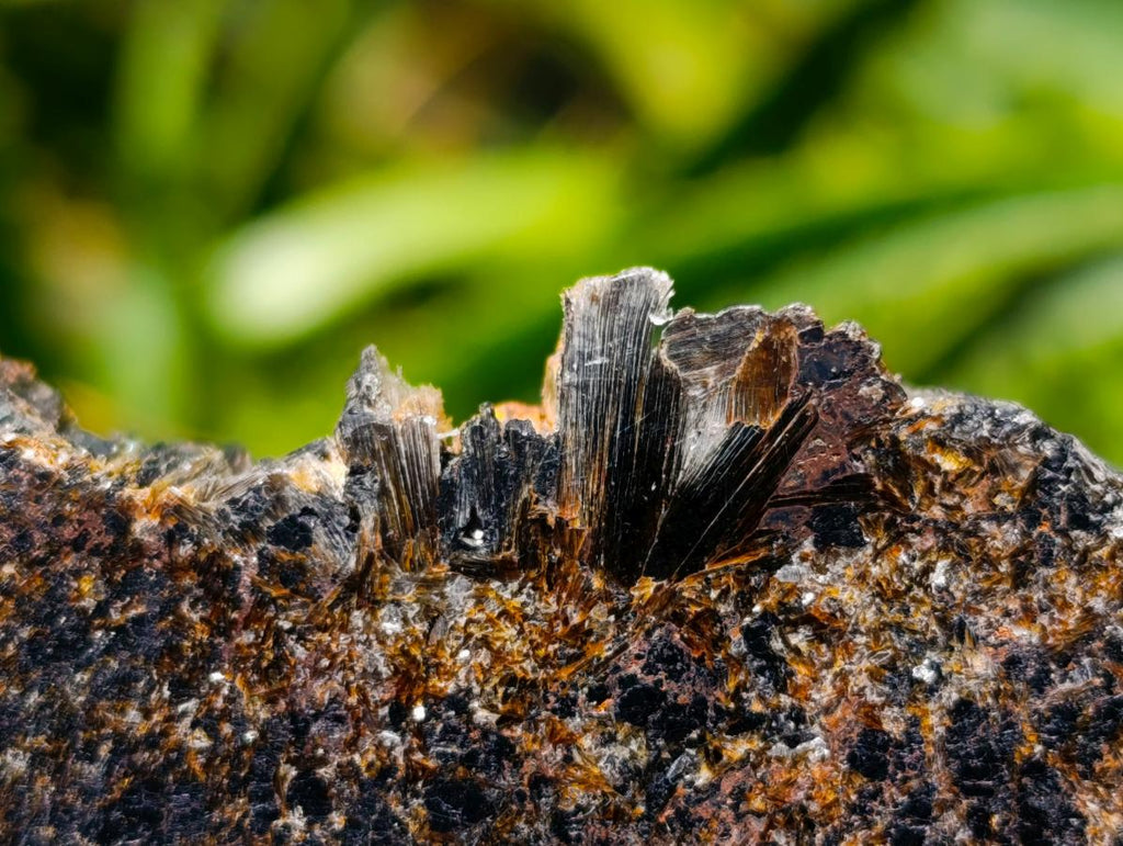 Polished Black Tourmaline Slices With Mica x 24 From Madagascar
