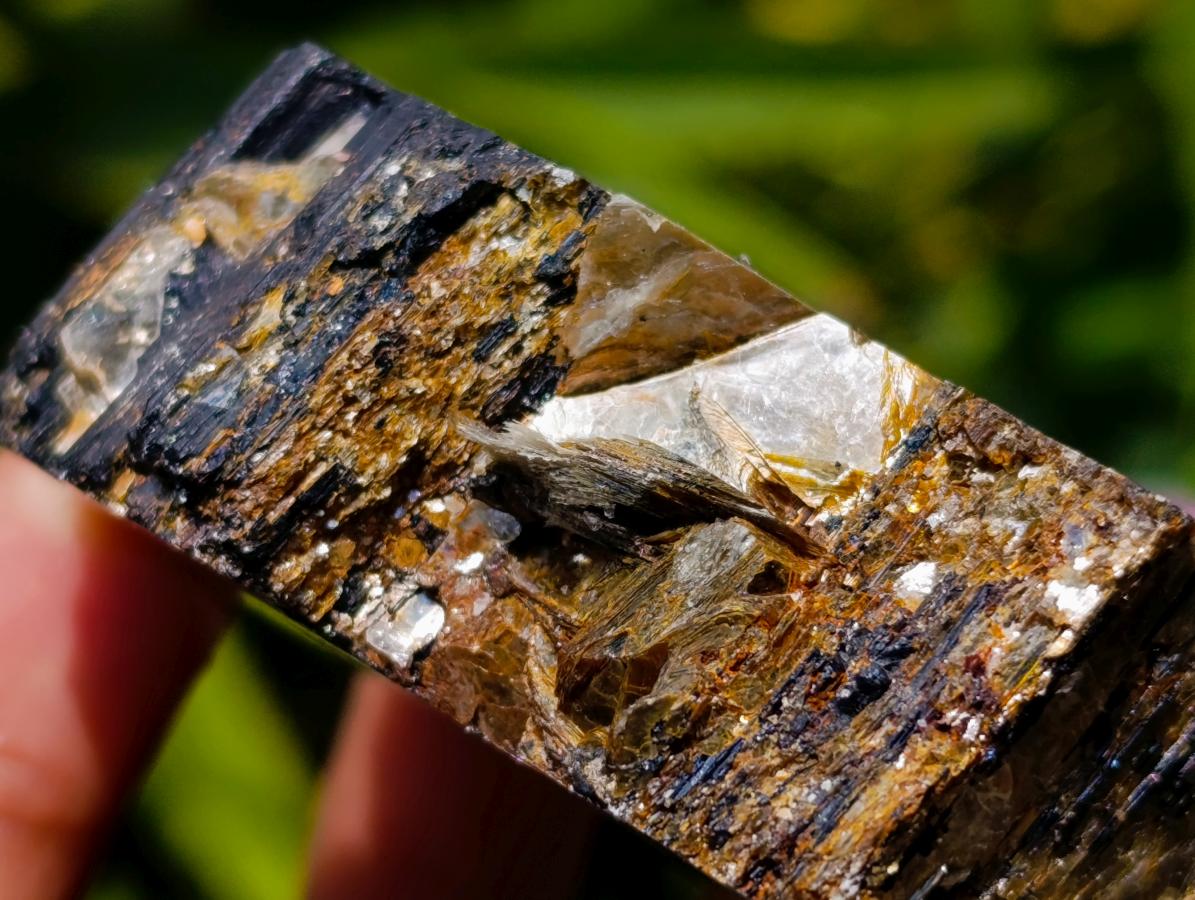 Polished Black Tourmaline Slices With Mica x 24 From Madagascar