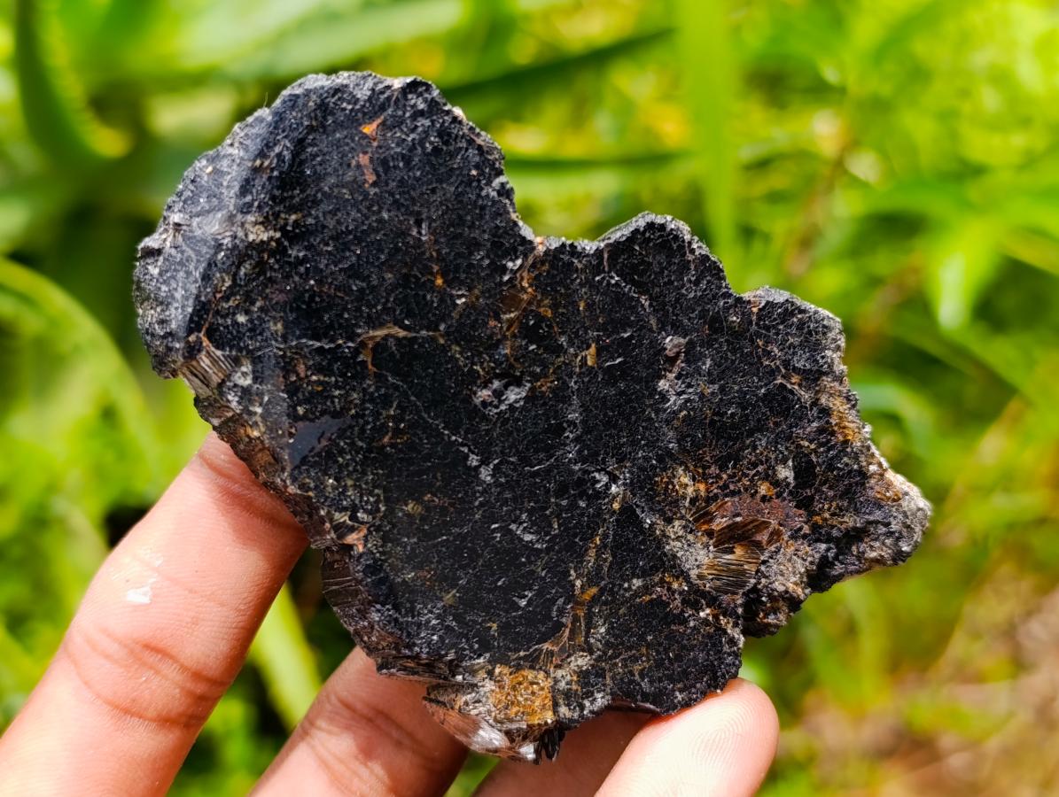 Polished Black Tourmaline Slices With Mica x 24 From Madagascar