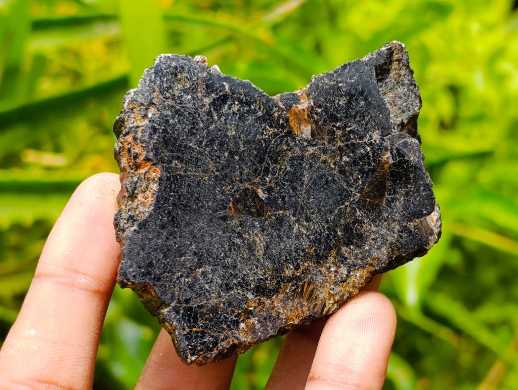 Polished Black Tourmaline Slices With Mica x 24 From Madagascar