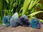 Natural Watermelon Fluorite Cobbed Specimens x 12 From Uis, Namibia