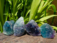 Natural Watermelon Fluorite Cobbed Specimens x 12 From Uis, Namibia