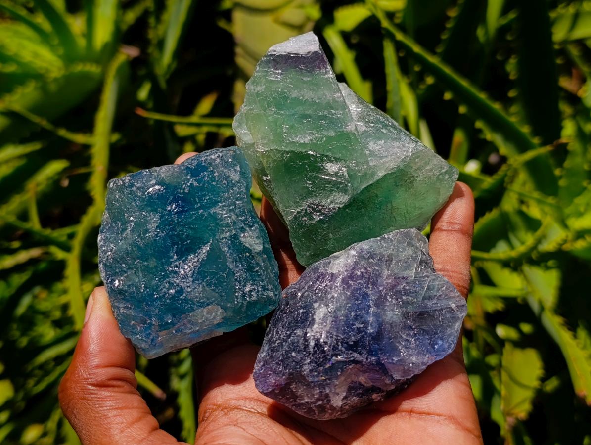 Natural Watermelon Fluorite Cobbed Specimens x 12 From Uis, Namibia