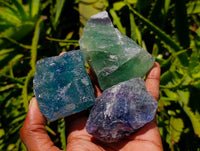Natural Watermelon Fluorite Cobbed Specimens x 12 From Uis, Namibia