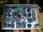 Natural Watermelon Fluorite Cobbed Specimens x 12 From Uis, Namibia