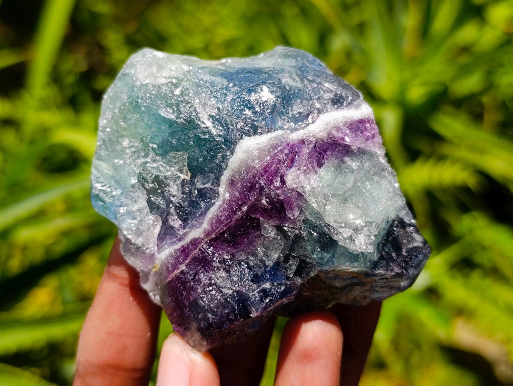 Natural Watermelon Fluorite Cobbed Specimens x 12 From Uis, Namibia
