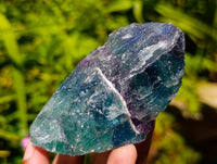 Natural Watermelon Fluorite Cobbed Specimens x 12 From Uis, Namibia