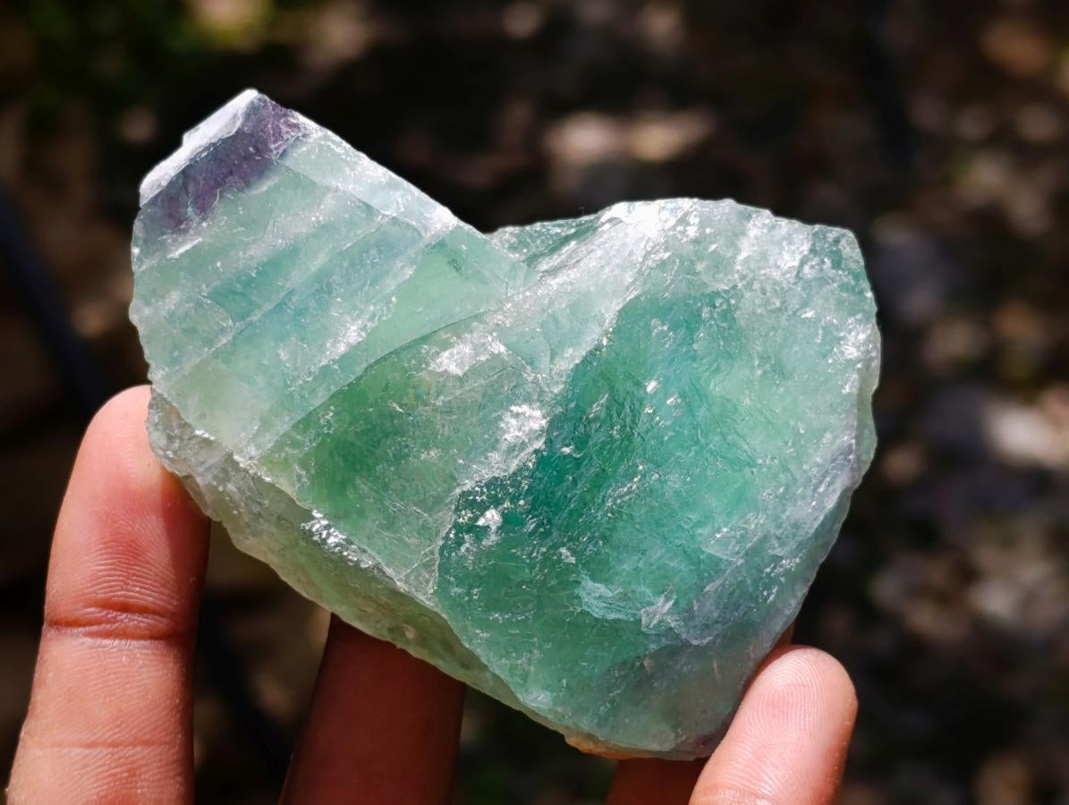 Natural Watermelon Fluorite Cobbed Specimens x 12 From Uis, Namibia