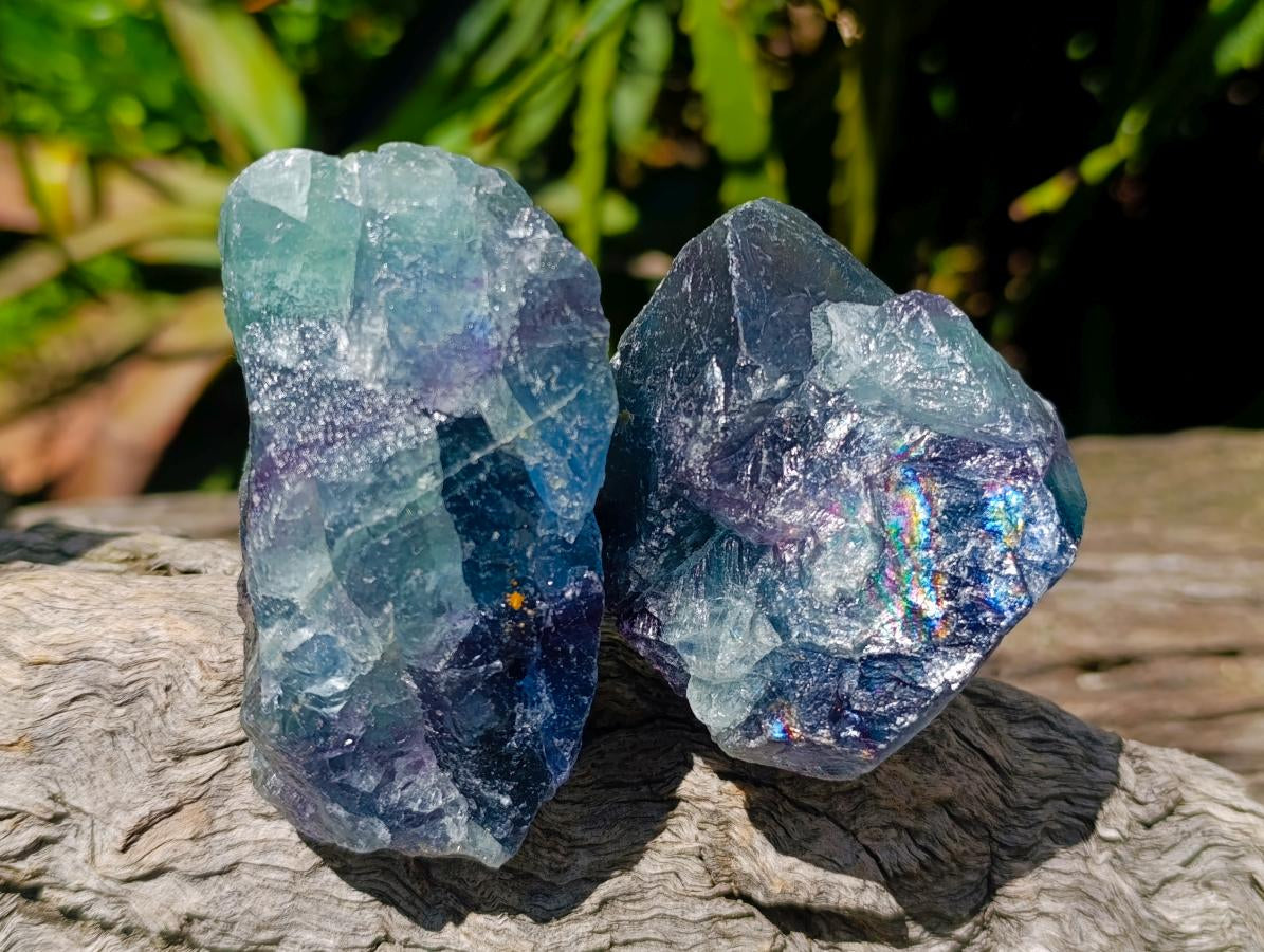 Natural Watermelon Fluorite Cobbed Specimens x 12 From Uis, Namibia