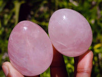 Polished Gemmy Star Rose Quartz Eggs x 12 From Madagascar