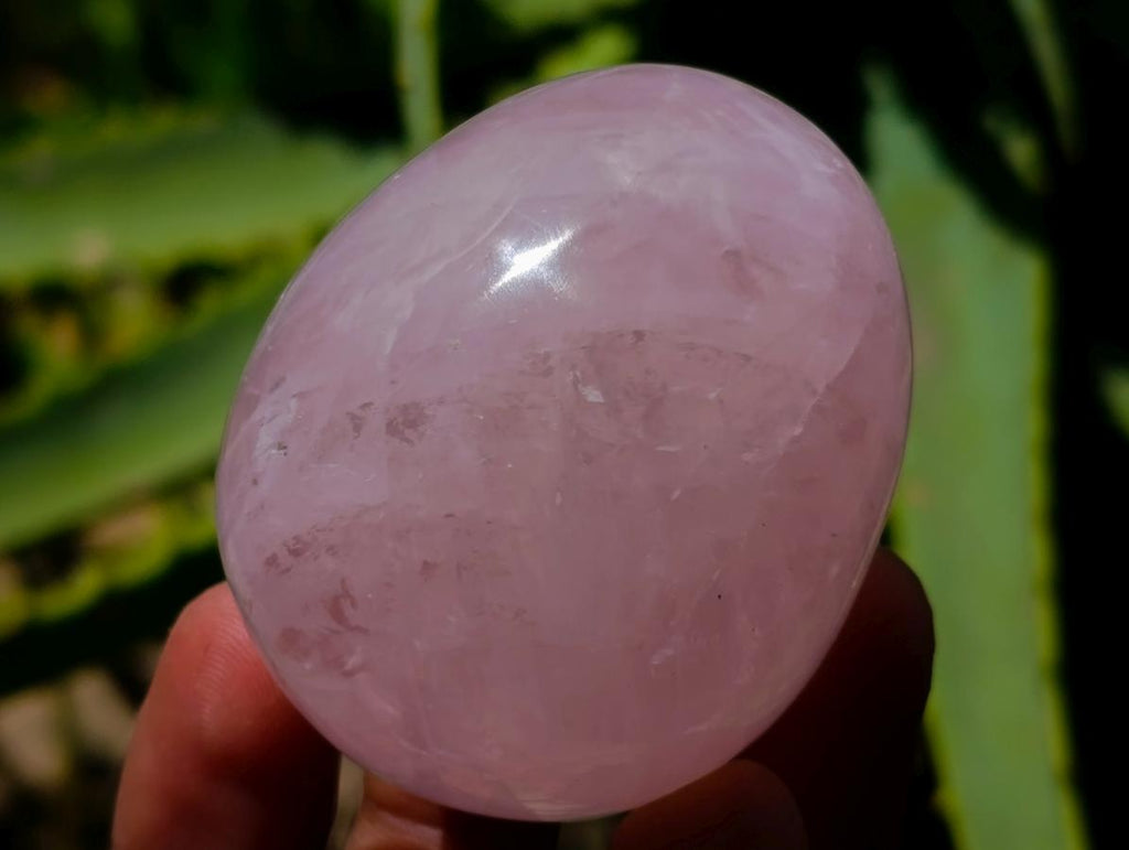 Polished Gemmy Star Rose Quartz Eggs x 12 From Madagascar