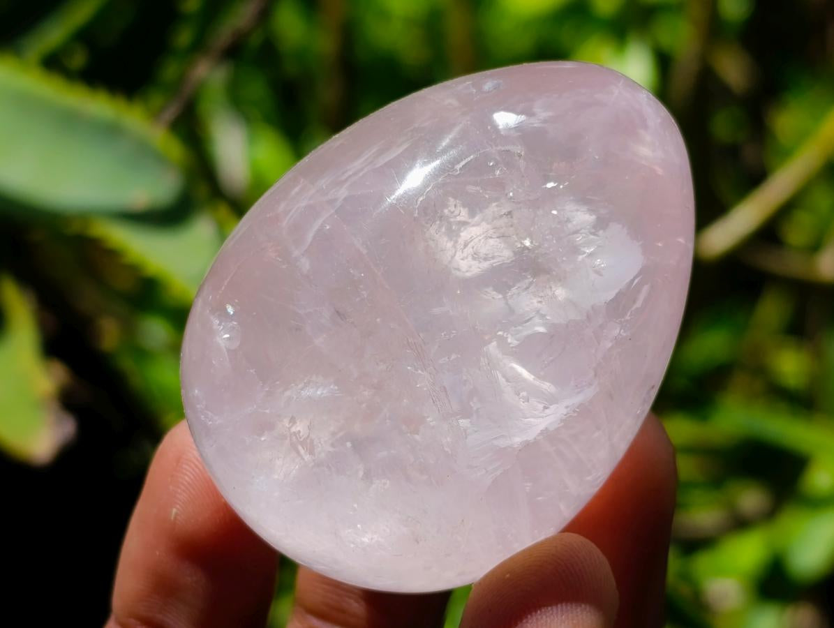 Polished Gemmy Star Rose Quartz Eggs x 12 From Madagascar