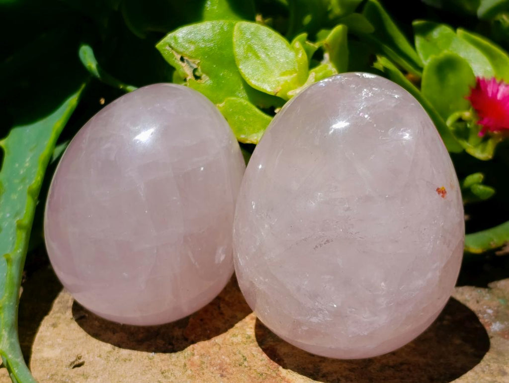 Polished Gemmy Star Rose Quartz Eggs x 12 From Madagascar