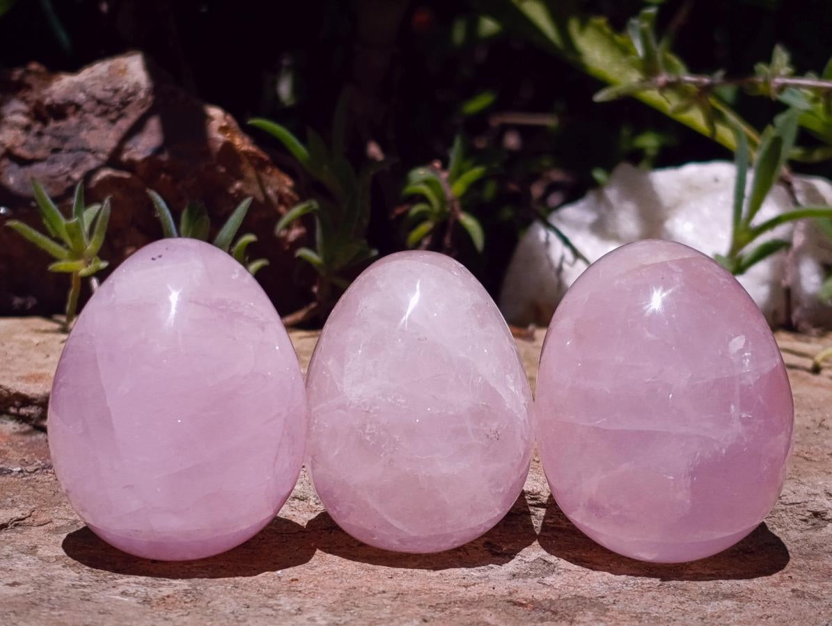 Polished Gemmy Star Rose Quartz Eggs x 12 From Madagascar