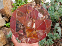 Hand Made Red Podocarpus Petrified Wood Conglomerate Plaques x 4 From Mahajanga, Madagascar