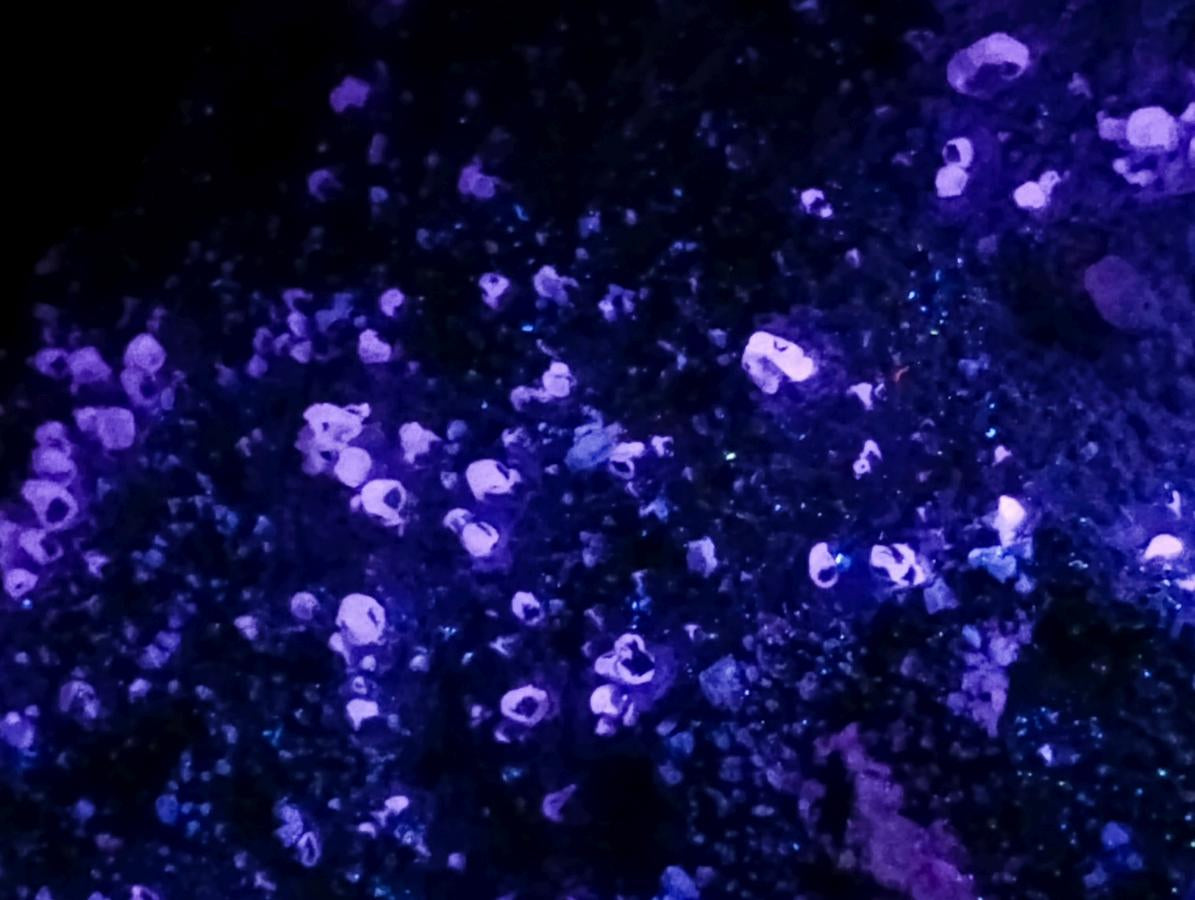 Natural XL Calcite Plancheite Specimen x 1 From Mashamba West Mine, Congo