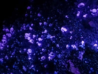 Natural XL Calcite Plancheite Specimen x 1 From Mashamba West Mine, Congo