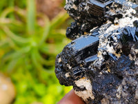 Natural Schorl Black Tourmaline with Hyalite Opal x 1 From Erongo, Namibia