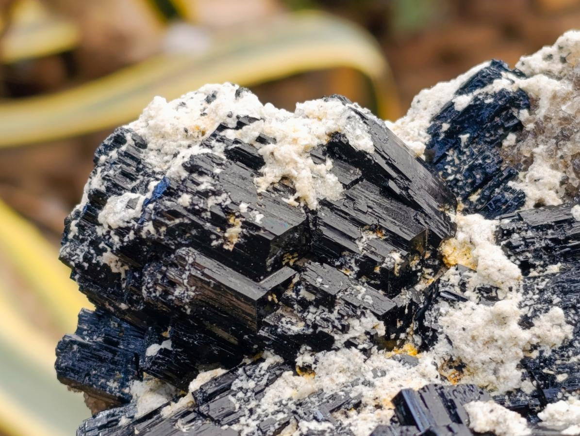 Natural Schorl Black Tourmaline with Hyalite Opal x 1 From Erongo, Namibia
