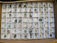 Polished Chlorite Quartz Moss Crystals x 70 From Mandoto, Madagascar