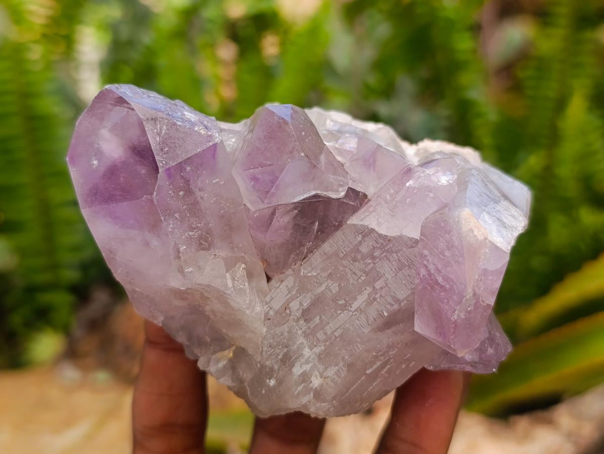 Natural Jacaranda Amethyst Crystal Clusters x 6 From Mumbwa, Zambia