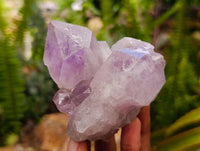 Natural Jacaranda Amethyst Crystal Clusters x 6 From Mumbwa, Zambia