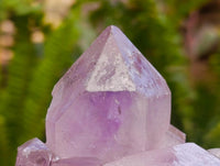 Natural Jacaranda Amethyst Crystal Clusters x 6 From Mumbwa, Zambia