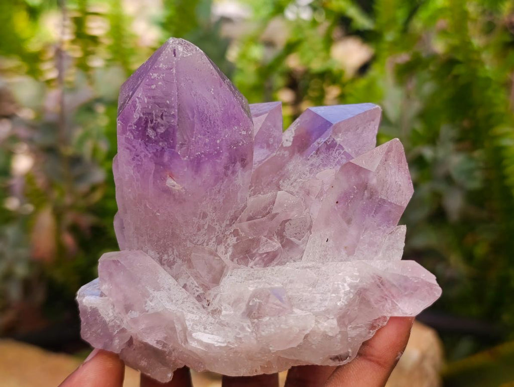 Natural Jacaranda Amethyst Crystal Clusters x 6 From Mumbwa, Zambia