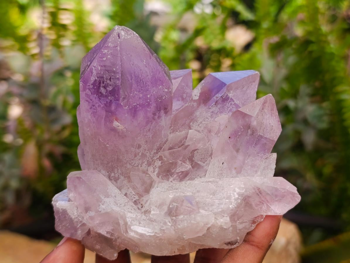Natural Jacaranda Amethyst Crystal Clusters x 6 From Mumbwa, Zambia