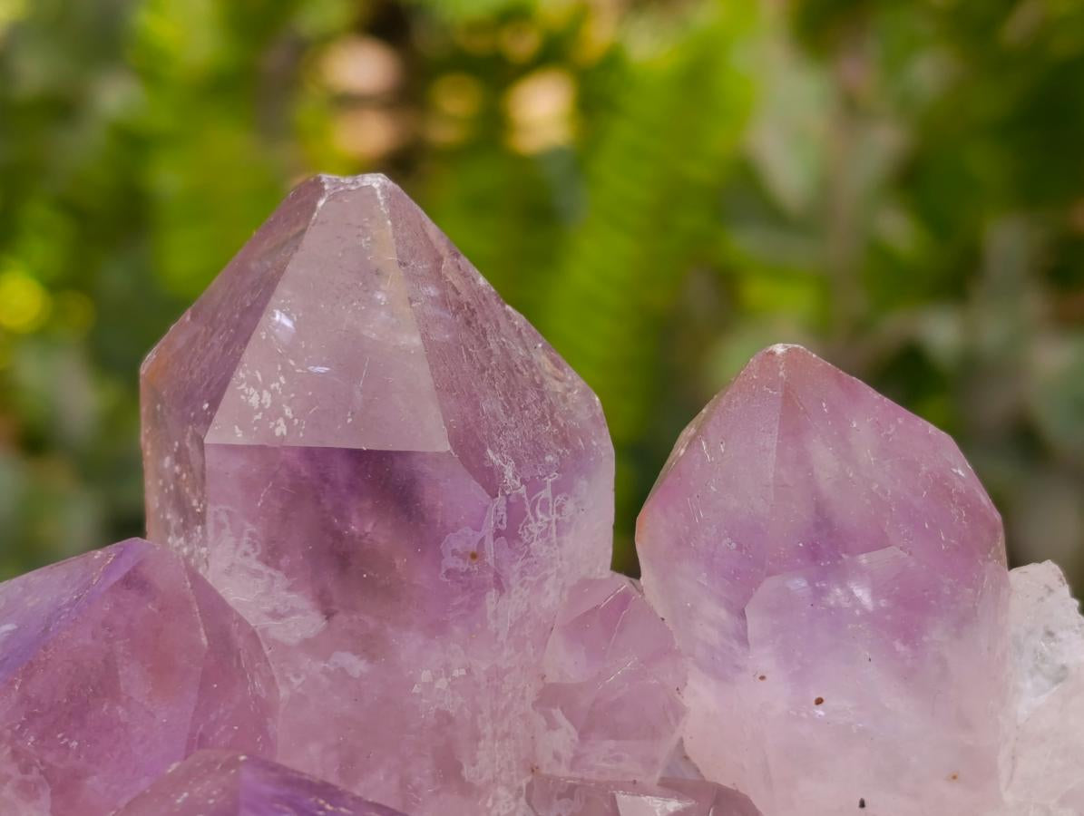 Natural Jacaranda Amethyst Crystal Clusters x 6 From Mumbwa, Zambia