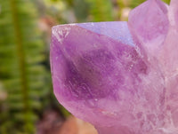 Natural Jacaranda Amethyst Crystal Clusters x 6 From Mumbwa, Zambia