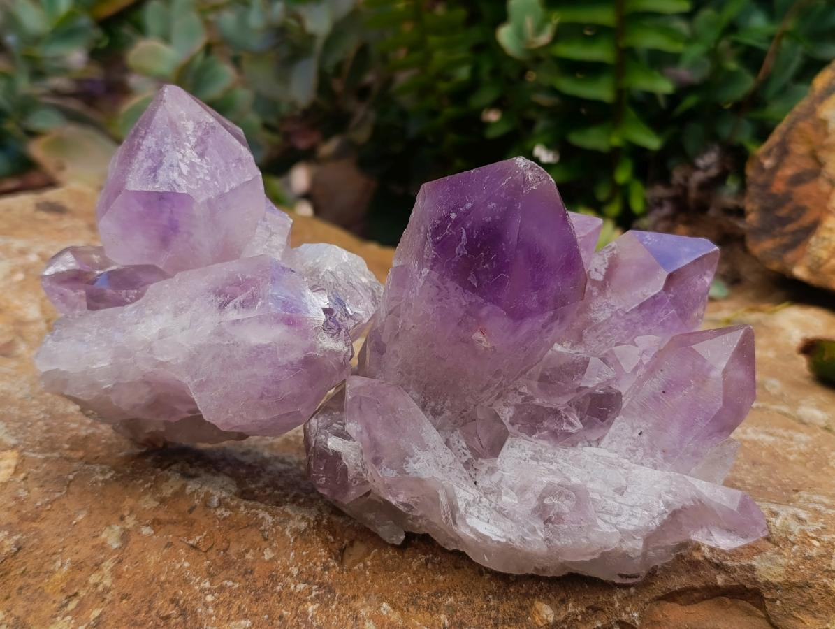 Natural Jacaranda Amethyst Crystal Clusters x 6 From Mumbwa, Zambia