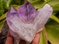 Natural Jacaranda Amethyst Crystal Clusters x 6 From Mumbwa, Zambia