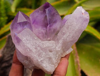 Natural Jacaranda Amethyst Crystal Clusters x 6 From Mumbwa, Zambia