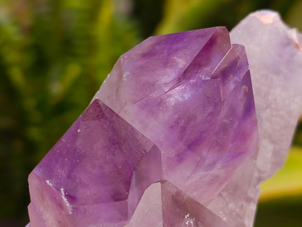 Natural Jacaranda Amethyst Crystal Clusters x 6 From Mumbwa, Zambia