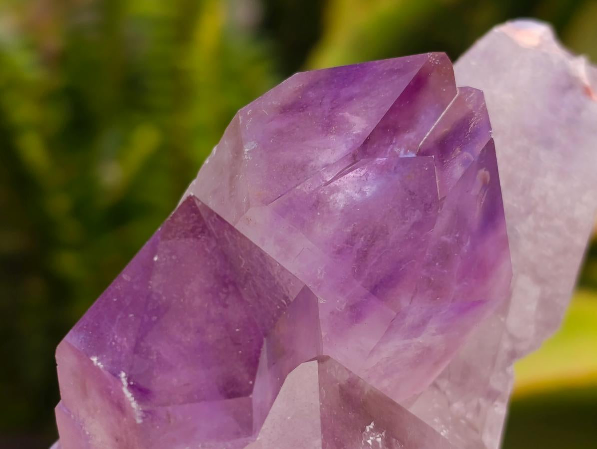 Natural Jacaranda Amethyst Crystal Clusters x 6 From Mumbwa, Zambia