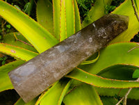 Polished XL Smokey Quartz Display Crystal x 1 From Madagascar