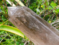 Polished XL Smokey Quartz Display Crystal x 1 From Madagascar
