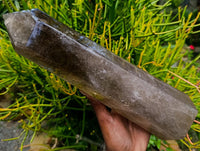 Polished XL Smokey Quartz Display Crystal x 1 From Madagascar