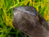 Polished XL Smokey Quartz Display Crystal x 1 From Madagascar
