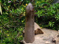 Polished XL Smokey Quartz Display Crystal x 1 From Madagascar