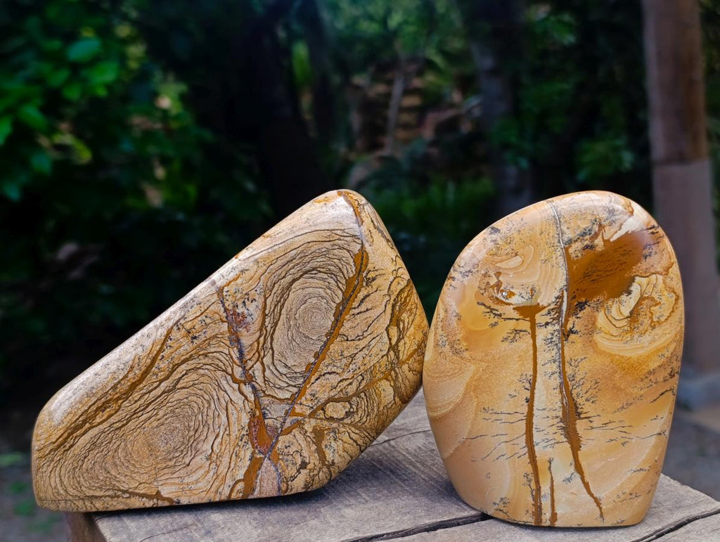 Polished Picture Stone Jasper Standing Free Forms x 2 From Ais-Ais, Namibia
