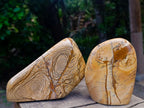 Polished Picture Stone Jasper Standing Free Forms x 2 From Ais-Ais, Namibia