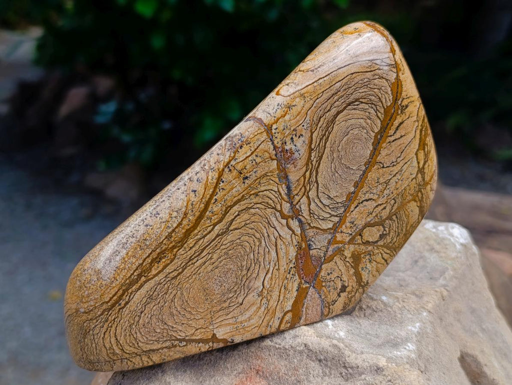 Polished Picture Stone Jasper Standing Free Forms x 2 From Ais-Ais, Namibia